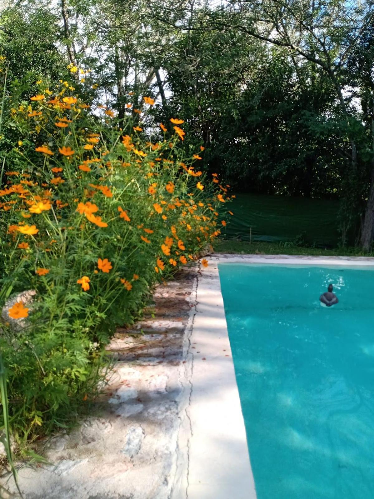 Villa La Isolina Villa Giardino Exteriör bild